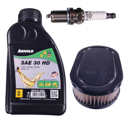 Olej MTD filtr (z) świeca do BRIGGS 450-550 gór pa-8099