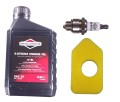Olej filtr świeca do BRIGGS 450 500 550 dol-8026