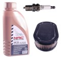 Olej NAC filtr (z) świeca BRIGGS 450-550 gór papie-14079