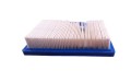 Filtr powietrza Brigss&Stratton INTEK 14-24PS NEVA-10233