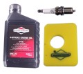 Olej filtr świeca do BRIGGS górno 450 500 550 gąbk-8042