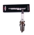 Olej NAC filtr (z) świeca do BRIGGS DOV 700 750-8072